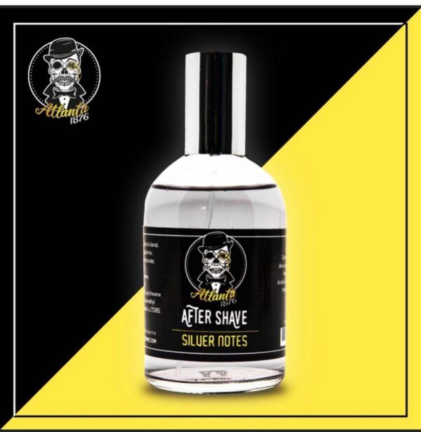 SILVER NOTES 100 ml